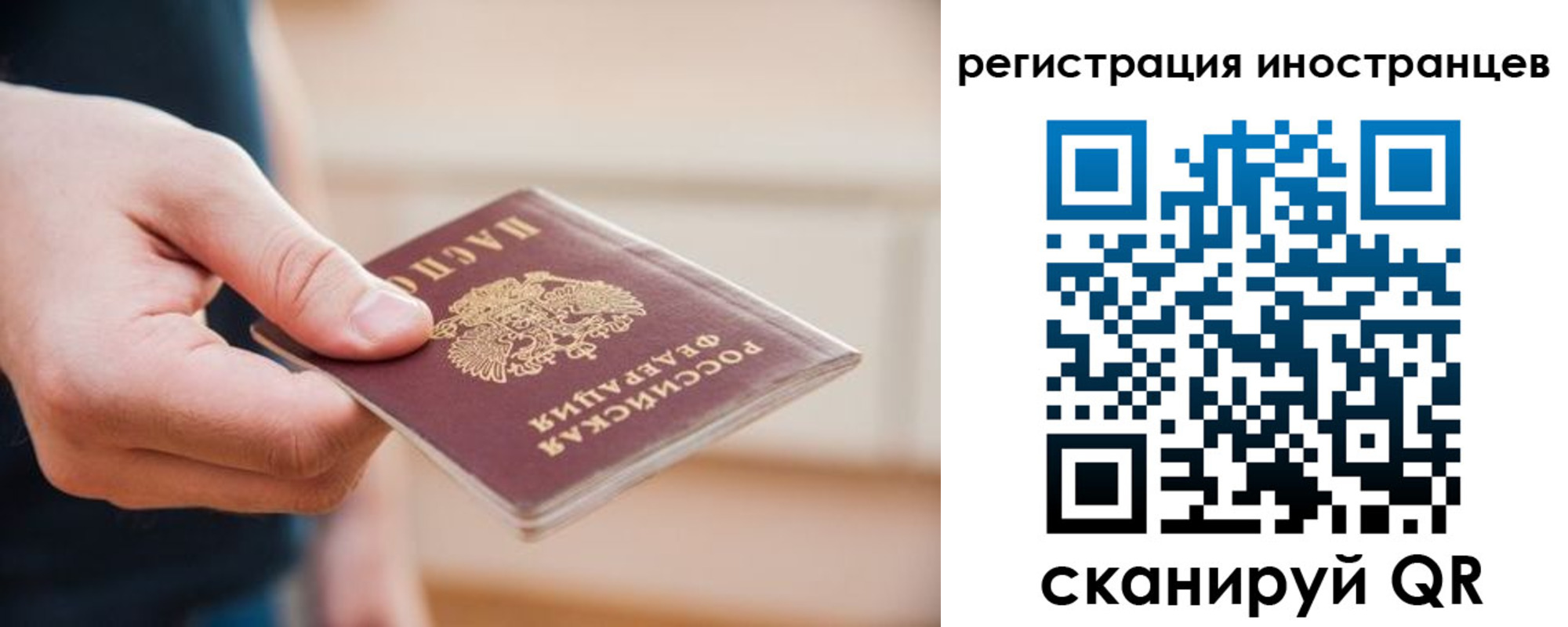 прописка гарантия в Судогде